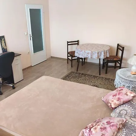 Cosy 1 Bedroom Close To Shops And Center Apartment *